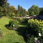 Dahliengarten in der Lichtentaler Allee feiert 10 Jahre Bestehen