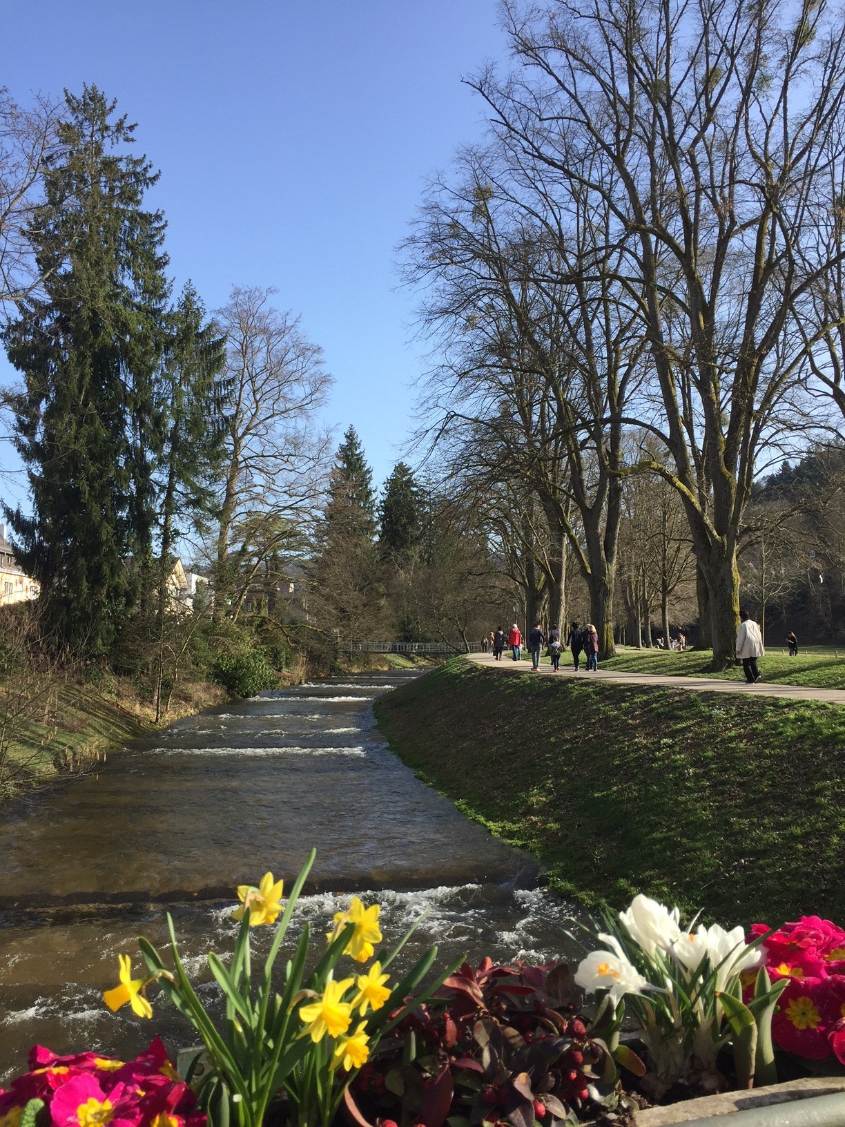 Frühling im Oostal lässt die Natur explodieren