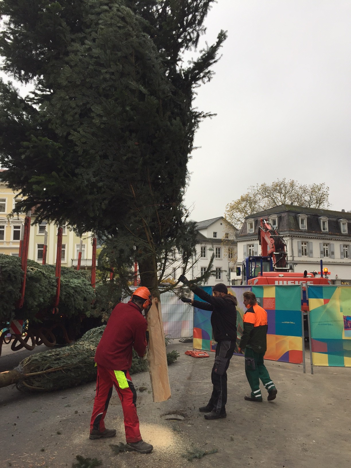 Weihnachtsbaum wird Leopoldsplatz schmuecken