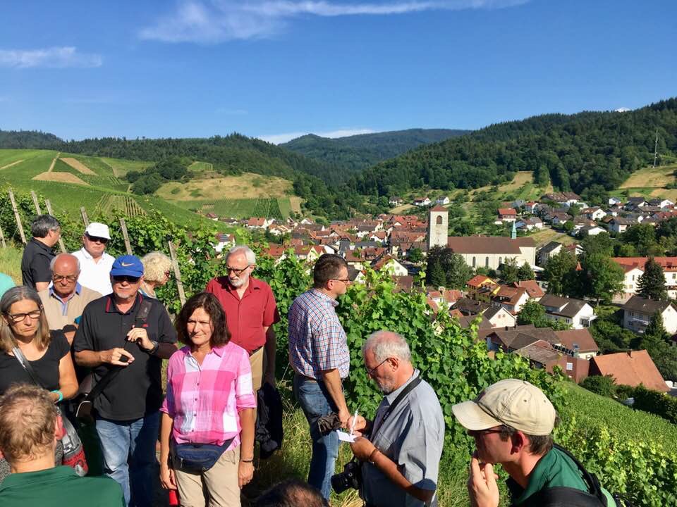 Gemeinderat informiert sich über unseren Wald