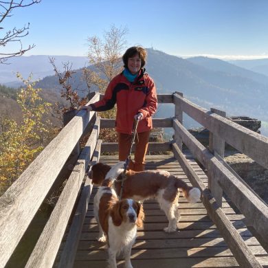 Ein Spaziergang mit Hunden des FG Forst